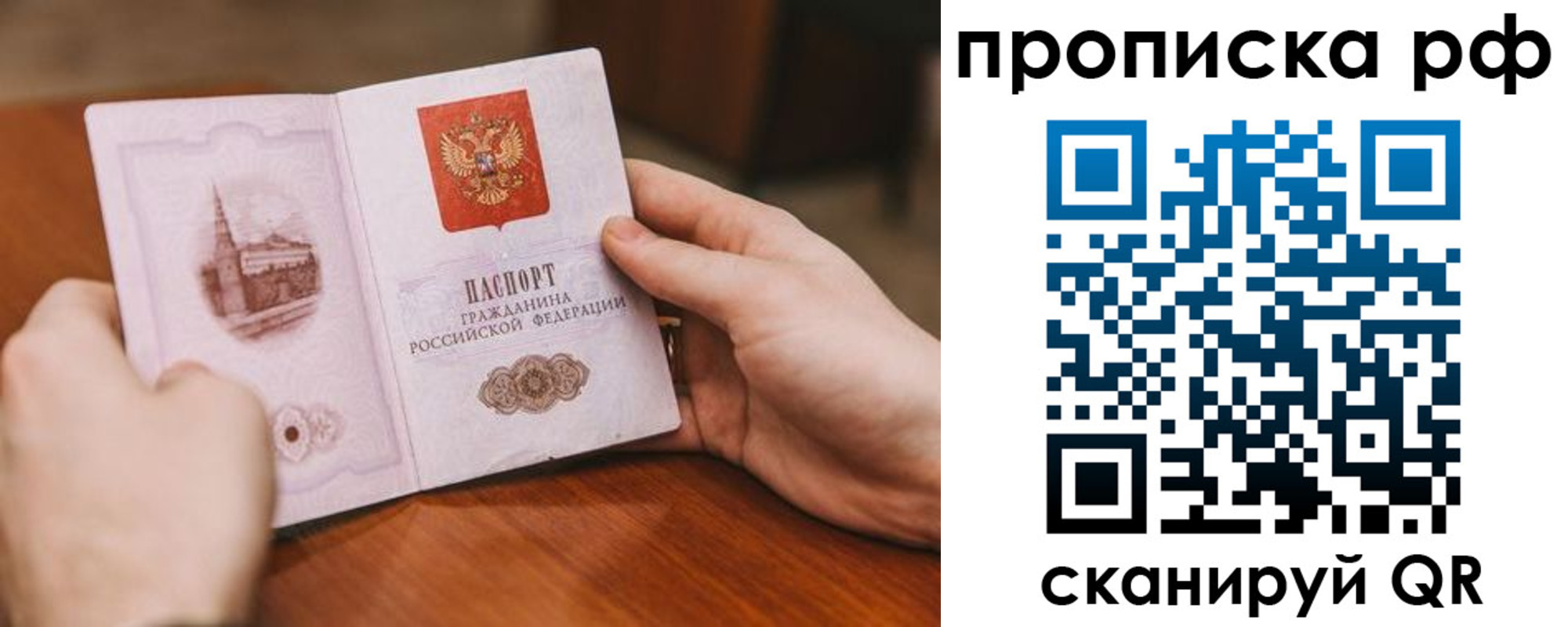 прописка поиск в Березниках